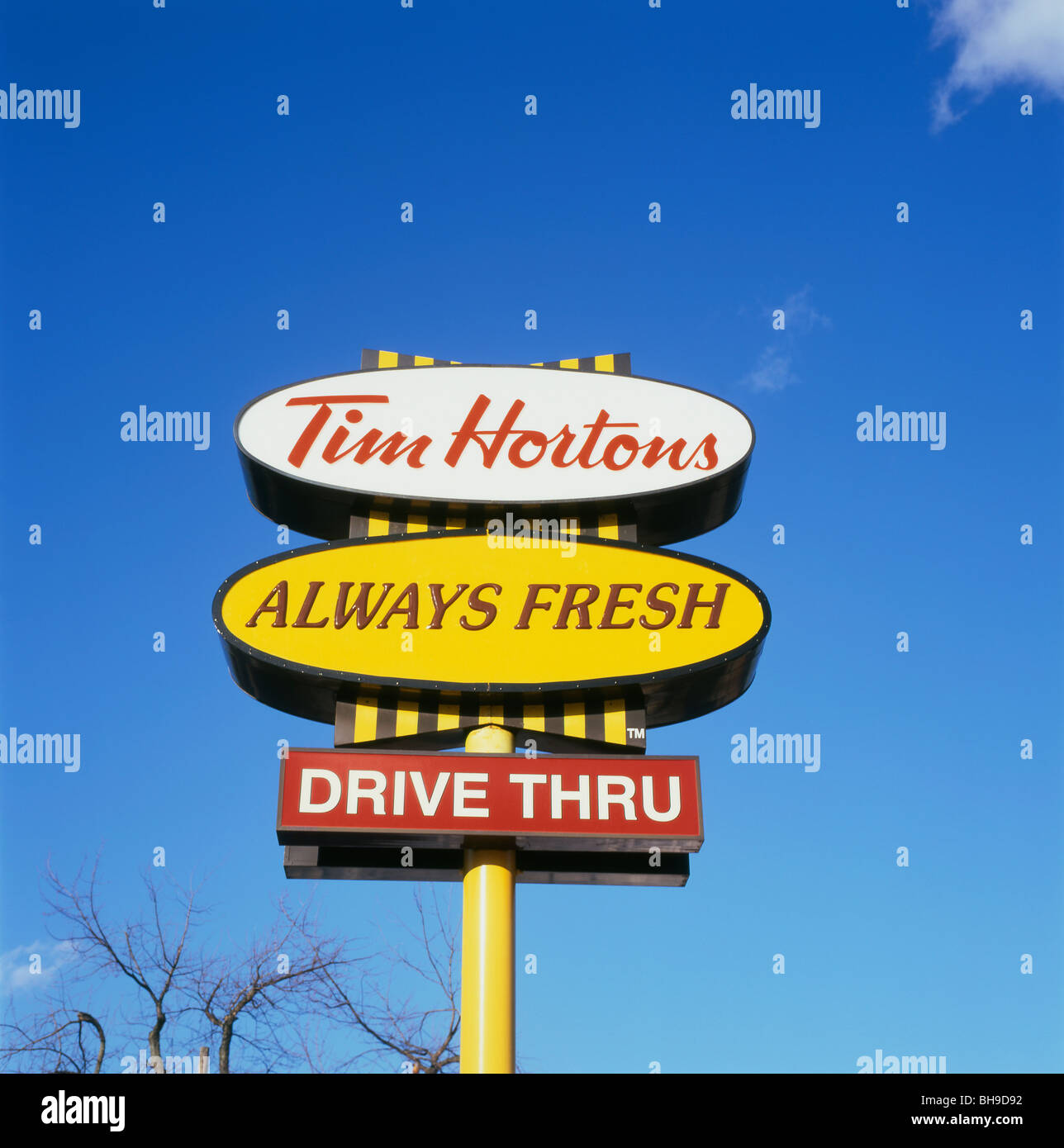 Tim Hortons Drive Thru restaurant sign in Ontario Canada   KATHY DEWITT Stock Photo