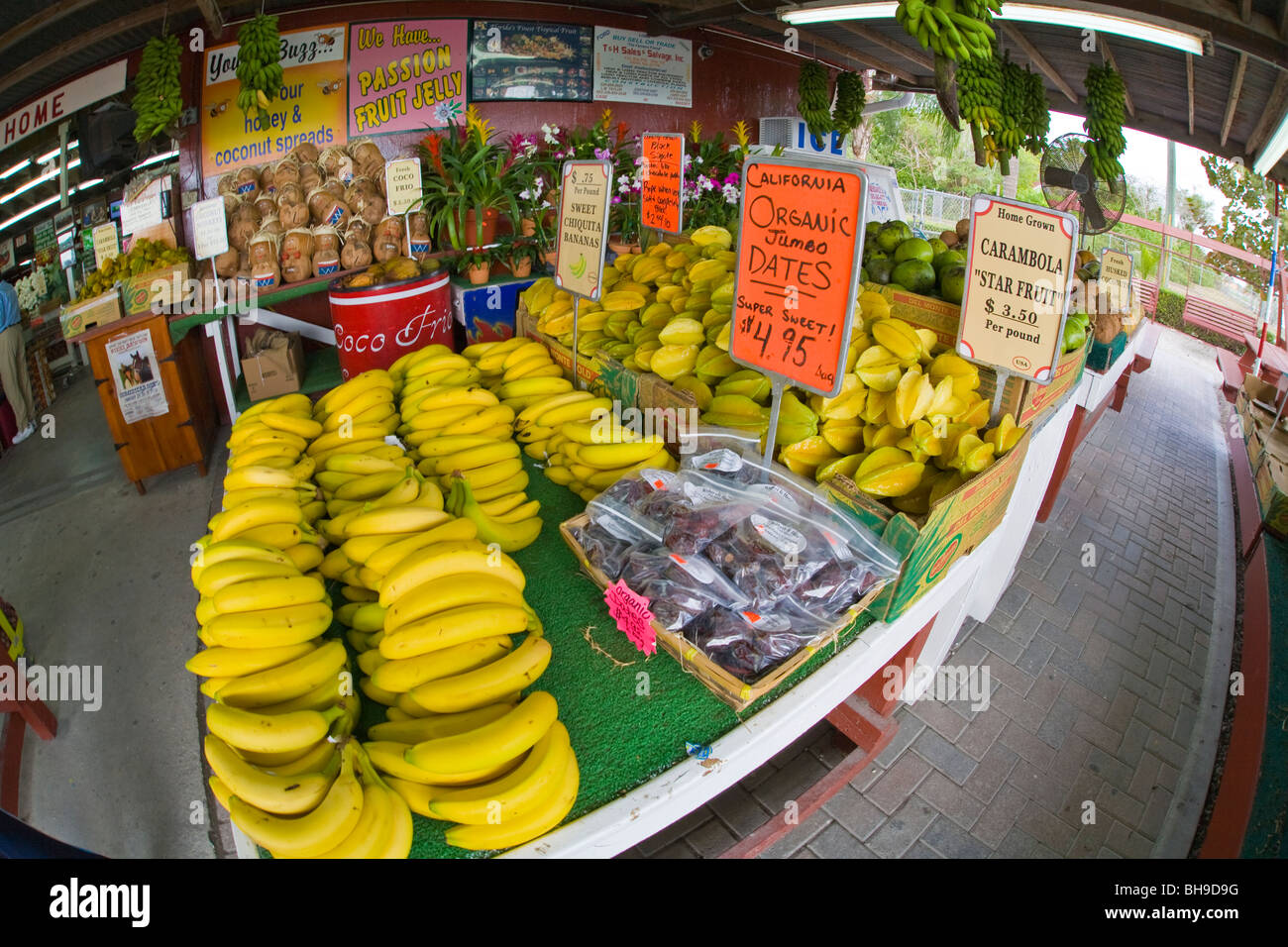Florida fruit stand hires stock photography and images Alamy