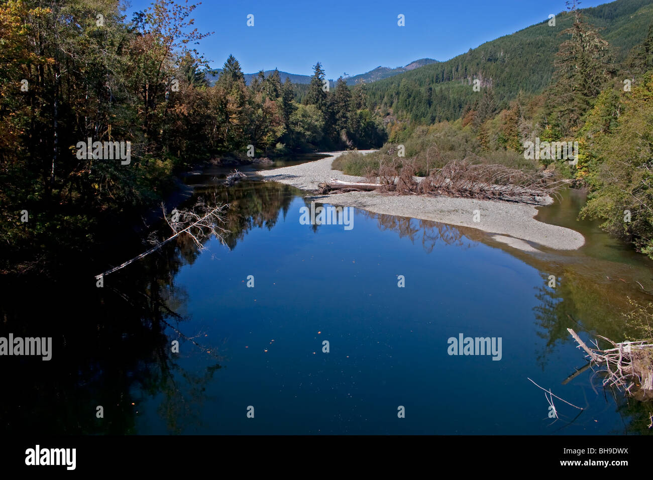 British columbia fishing salmon island hires stock photography and