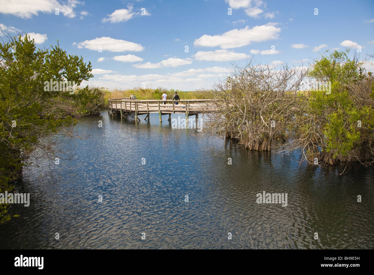 Anhinga Trail in the Everglades National Park in Florida Stock Photo