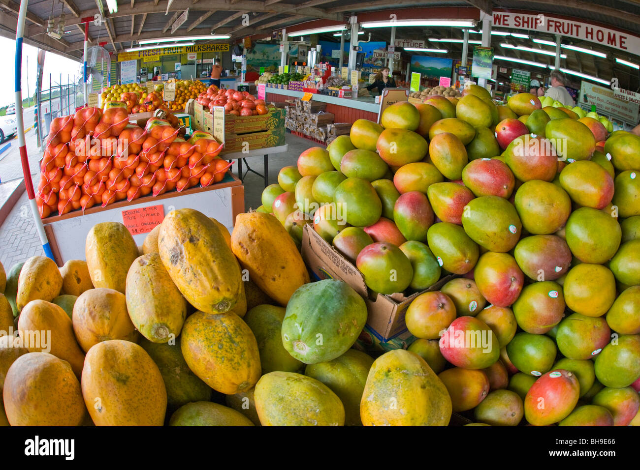Robert is Here fruit stand in Homestead Florida Stock Photo Alamy