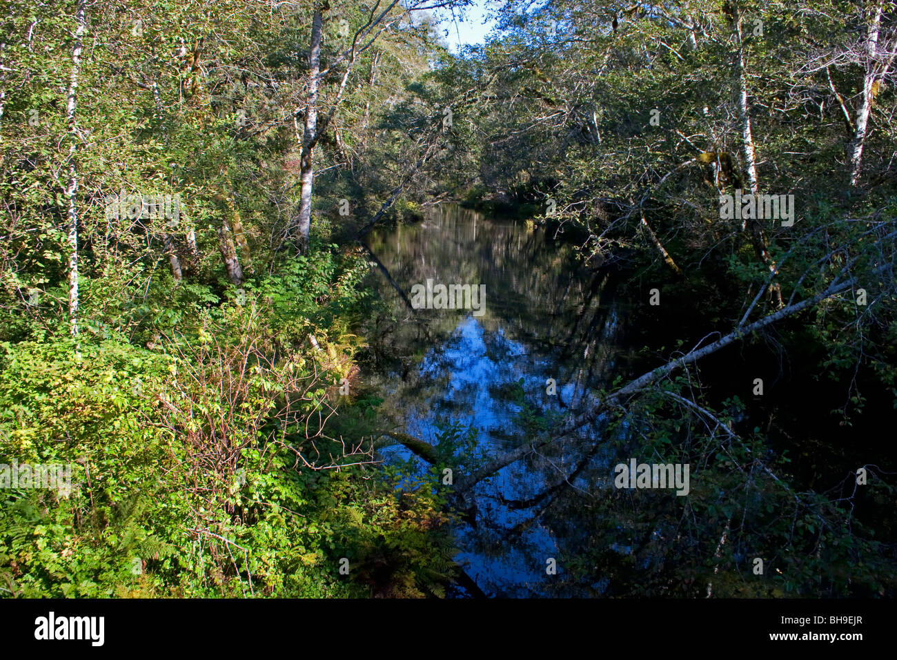 Nitinat River tributary and reflections Vancouver Island BC Canada in September Stock Photo
