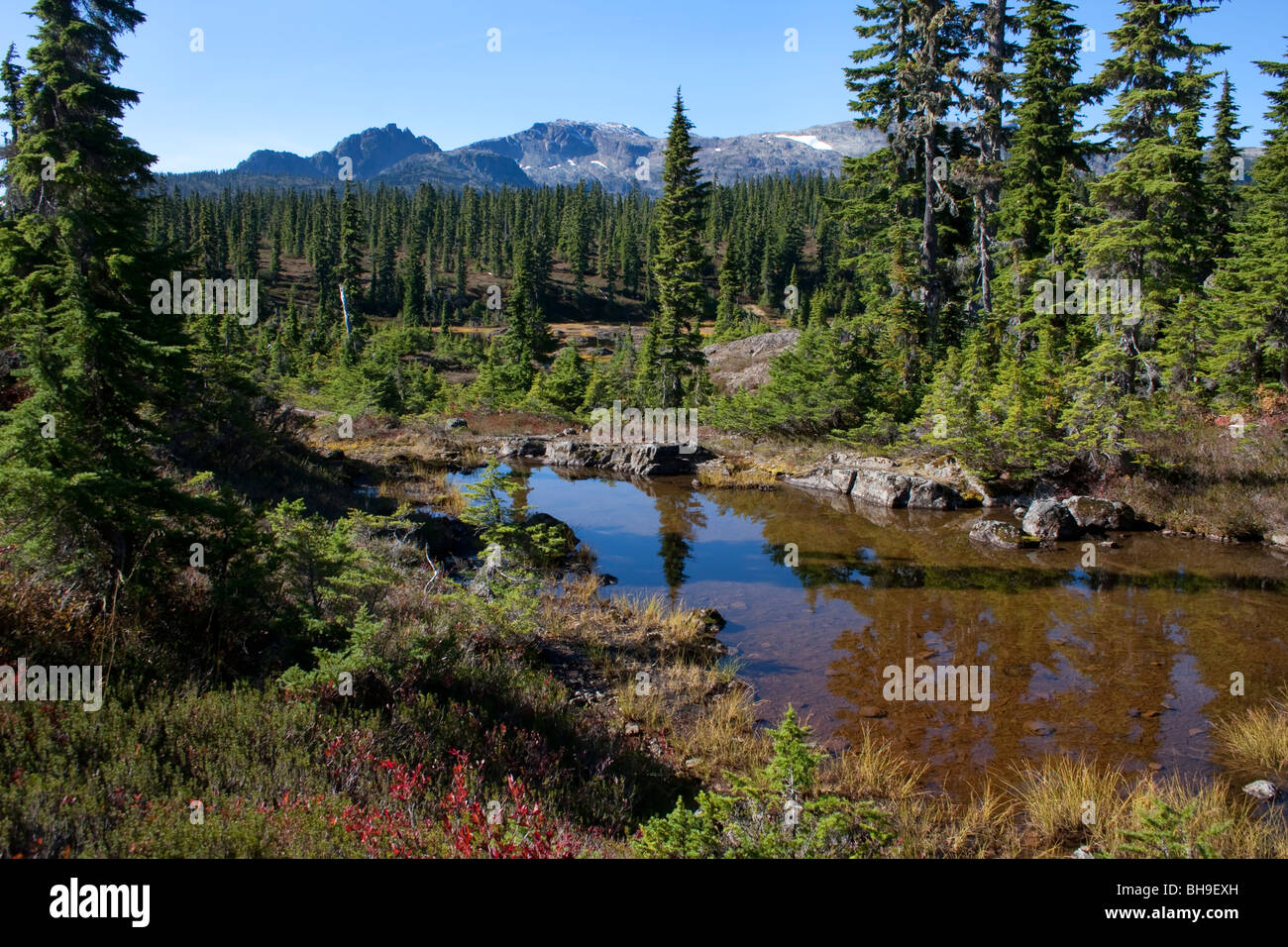 Sub -alpine tarn at the Forbidden Plateau Strathcona Park Vancouver Island BC Canada in October Stock Photo