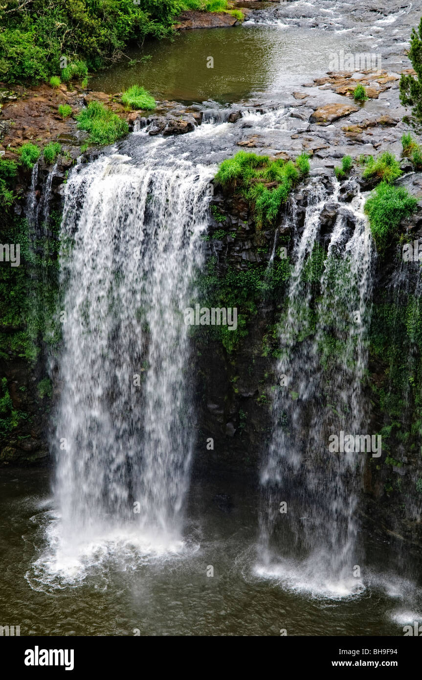 Dangar Falls near Dorrigo in north central New South Wales on Waterfall Way Stock Photo