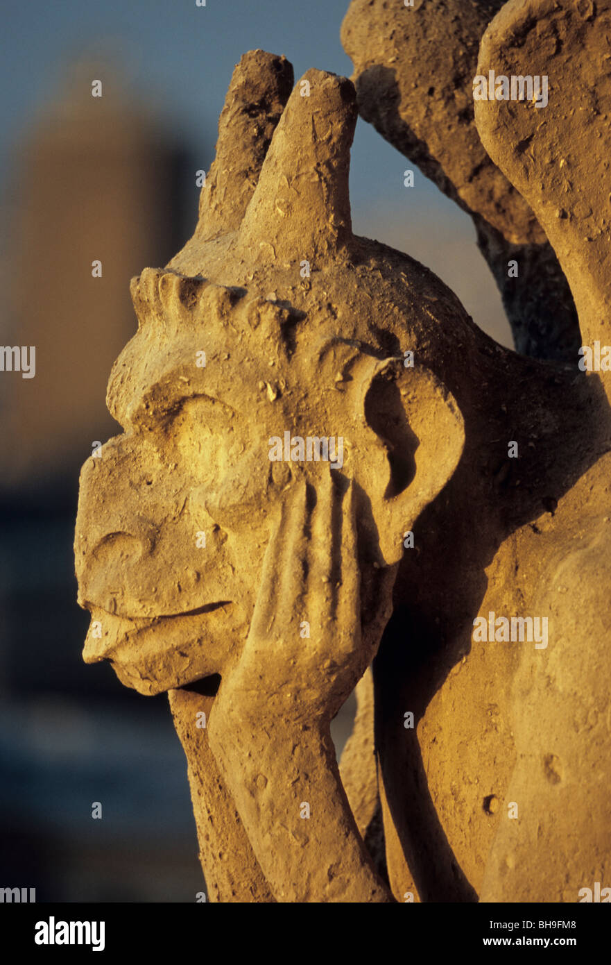 Chimera, Notre Dame Cathedral, Paris, France Stock Photo