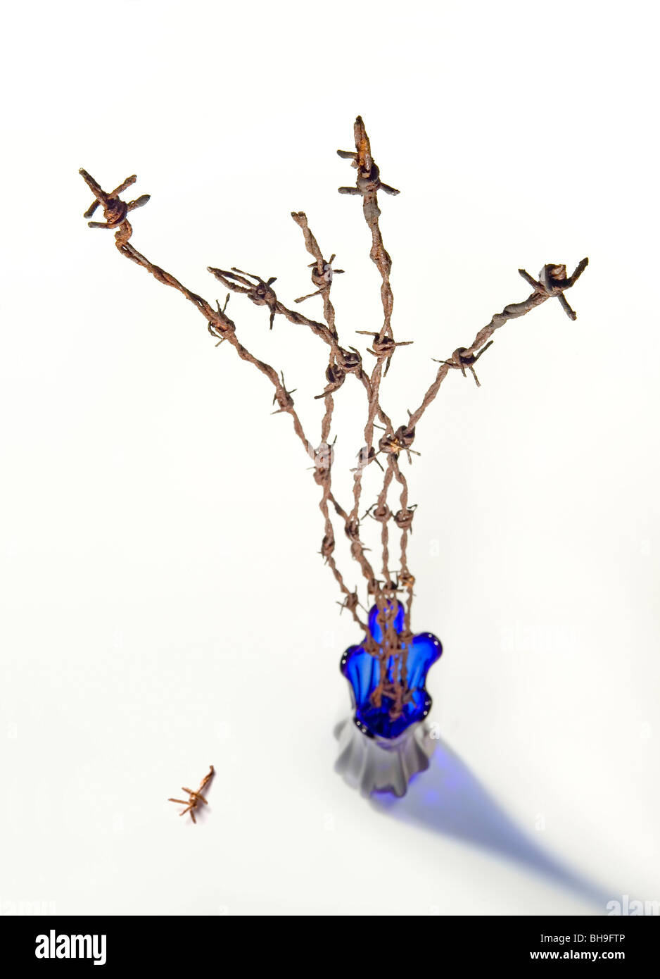 Rusty barbed wire in blue glass vase Stock Photo