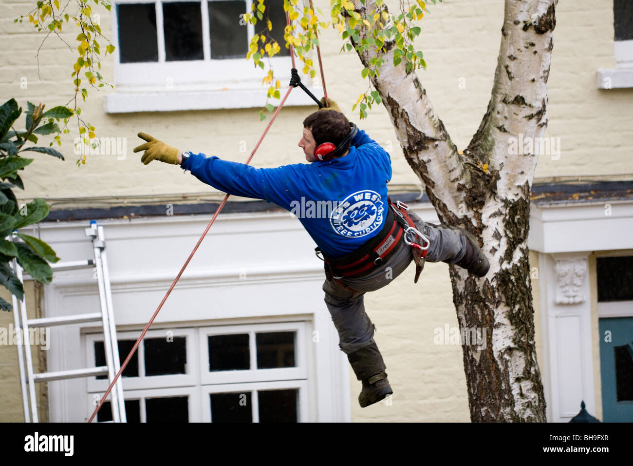 Suburban tree prune hi-res stock photography and images - Alamy