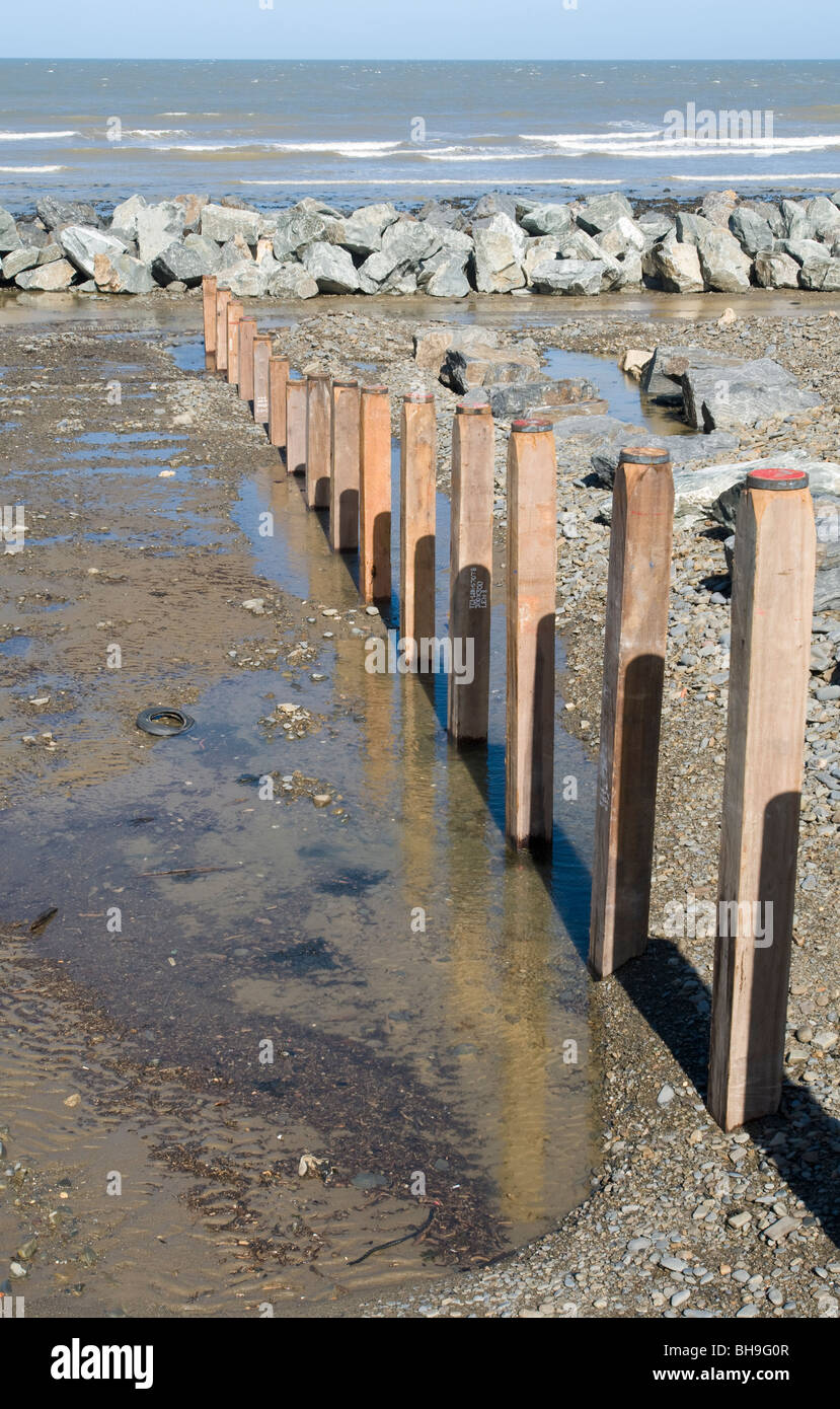 New groynes act as a breakwater on the beach at Aberaeron, Credigon, Wales Stock Photo