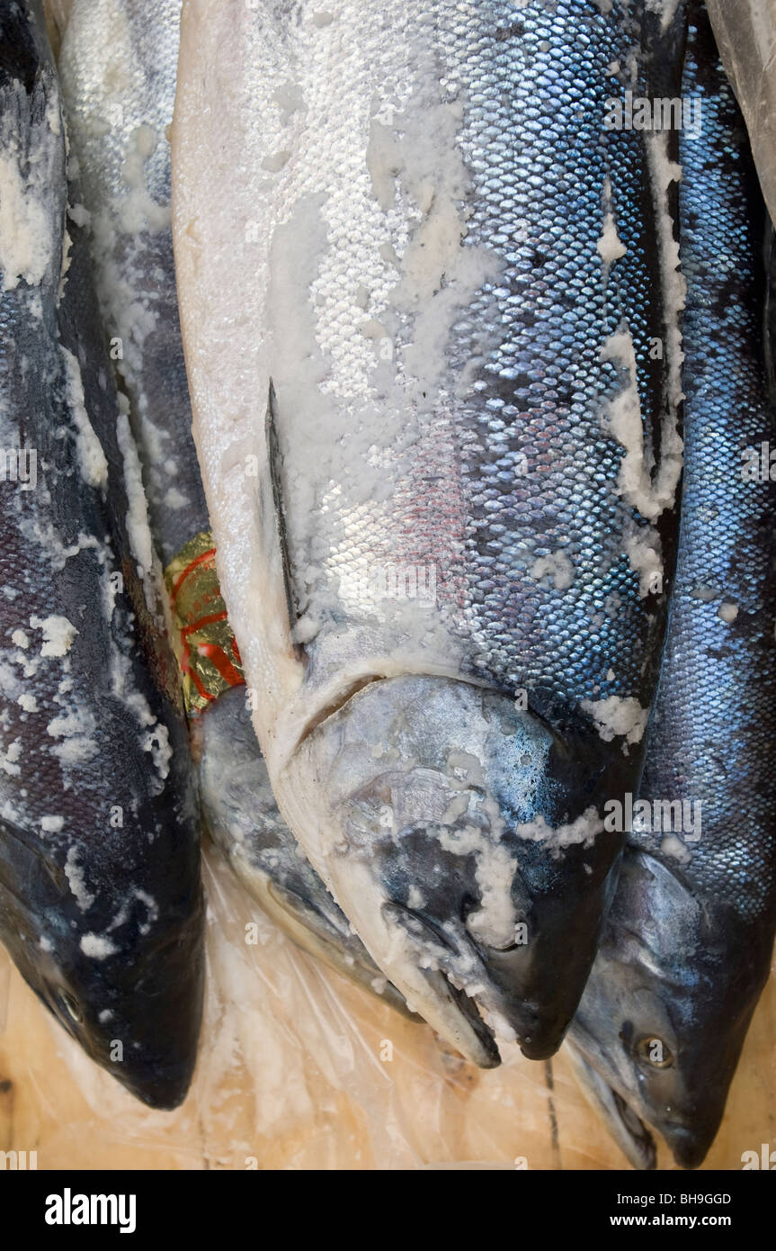 Salted salmon at Otaru fishmarket Stock Photo