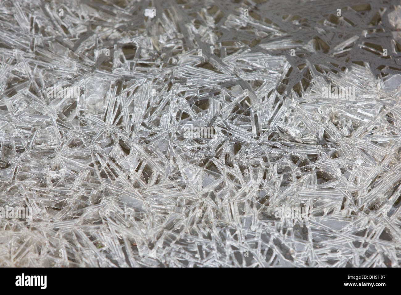 crystals of frozen water in a river Stock Photo