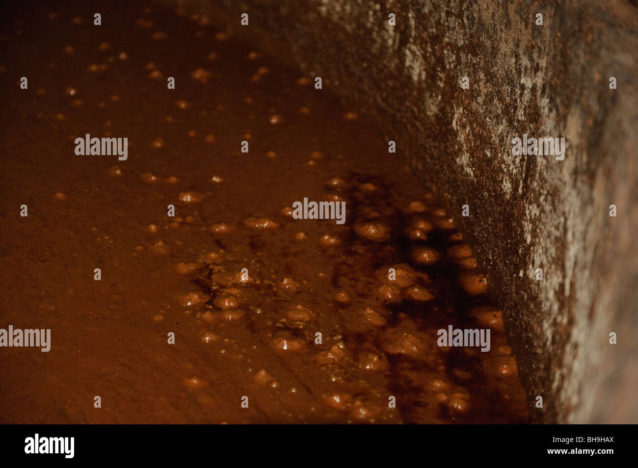 Soy sauce fermenting, Miya Shoyu soy sauce factory, Sanukimachi, Japan