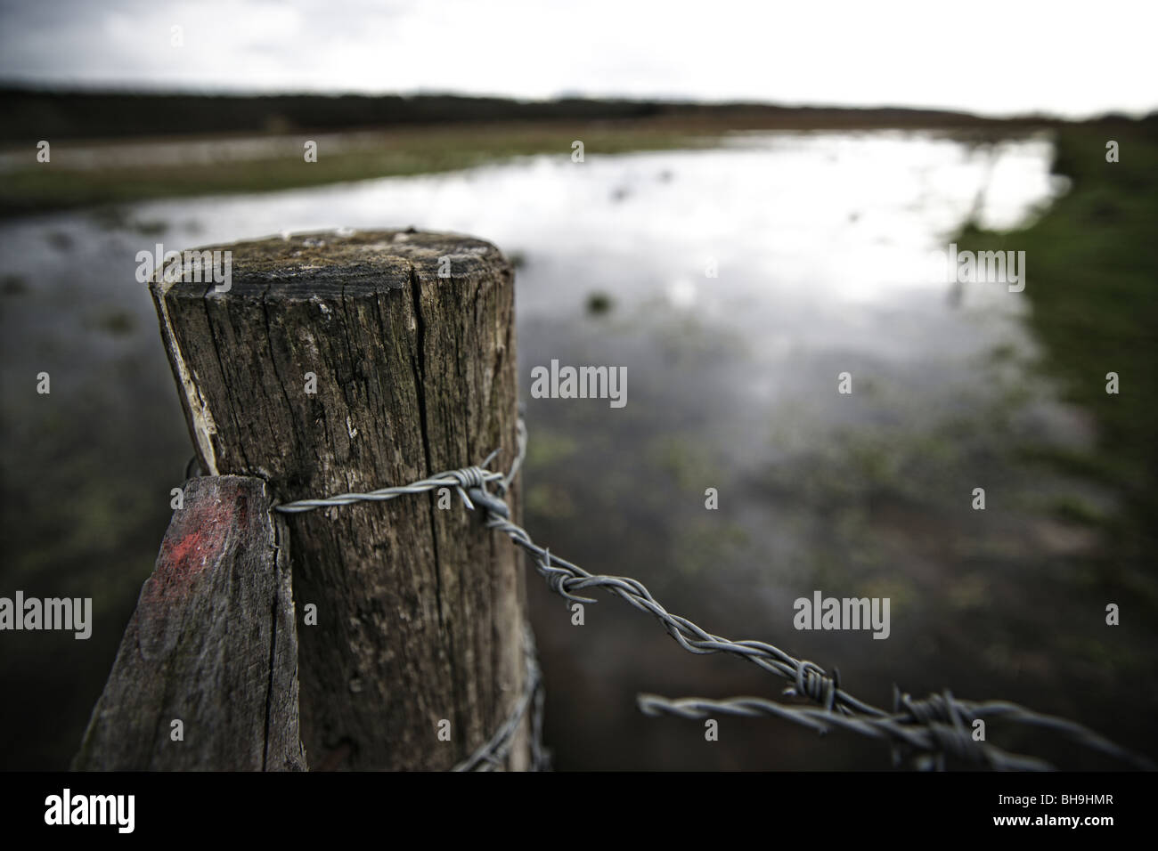 close up of a barbed wired fence Stock Photo