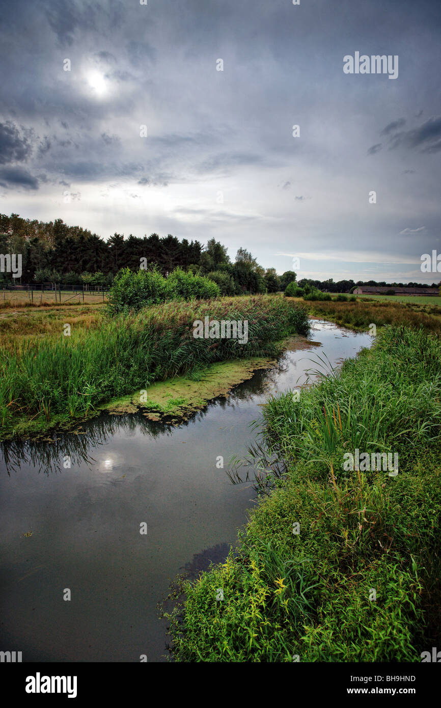 little stream in holland Stock Photo Alamy