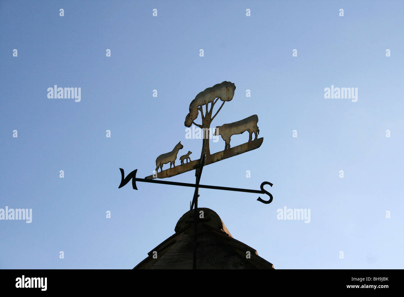Weather vane on roof, Cotswolds, England, UK Stock Photo Alamy