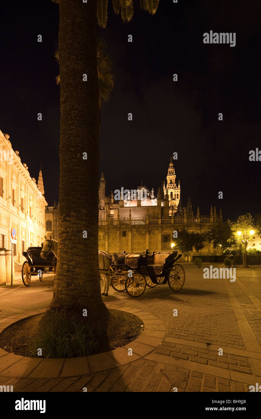 horse drawn carriages at night in front of Seville Cathedral and La Giralda tower, Andalusia, Spain Stock Photo