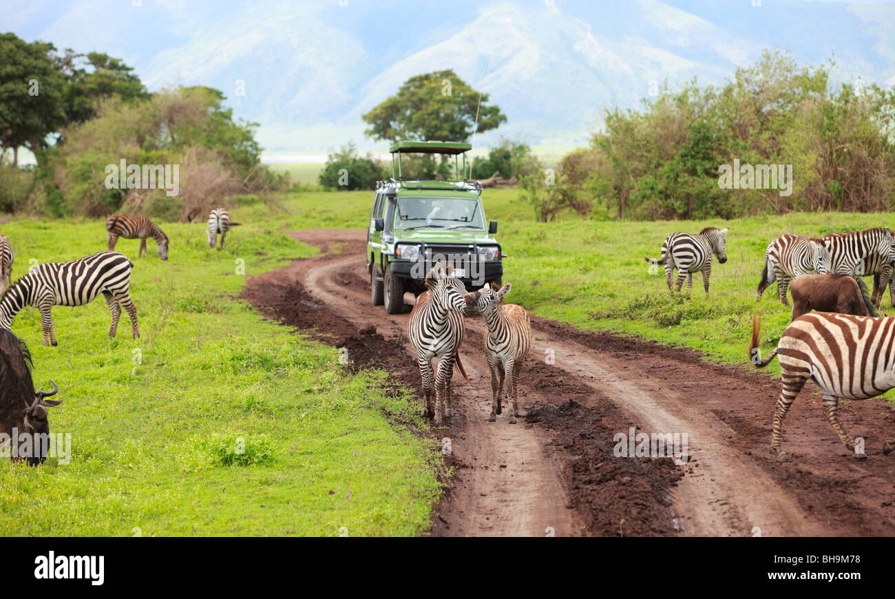 game drive for playstation game drive for playstation