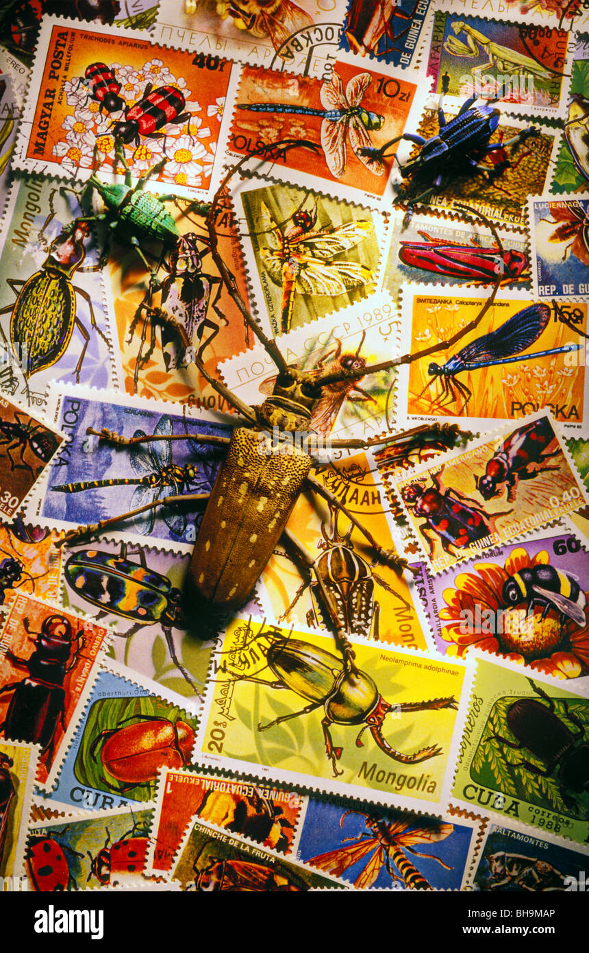 Bug insect stamps Stock Photo