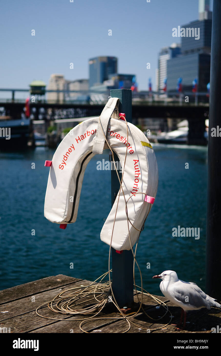 SYDNEY, Australia - SYDNEY, Australia - A life ring and single seagull on the dock at Darling Harbour in Cockle Bay in Sydney Stock Photo