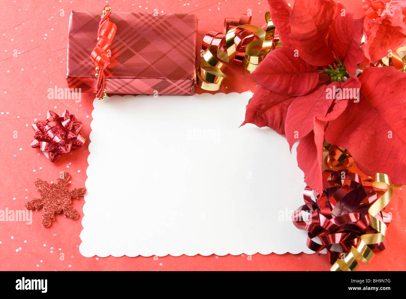 blank Christmas card with poinsettia and red elements and copy space Stock Photo