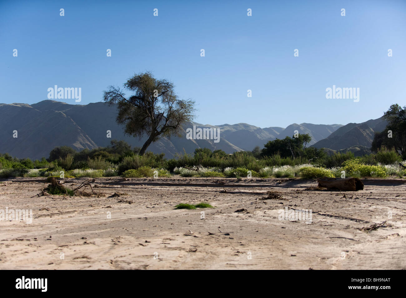 Hoinab dry river bed March 2009 Stock Photo