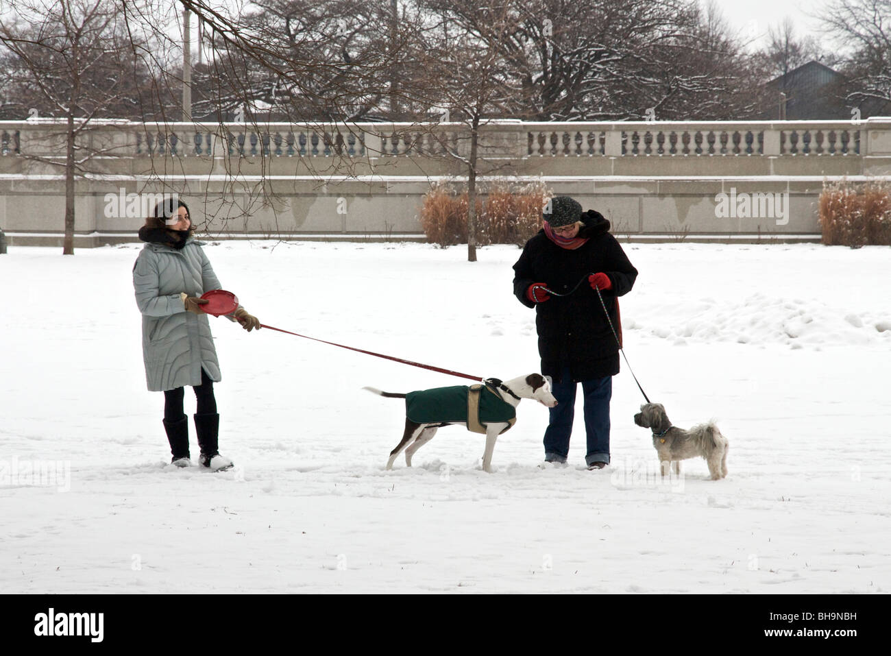 Are Dogs Allowed In Grant Park