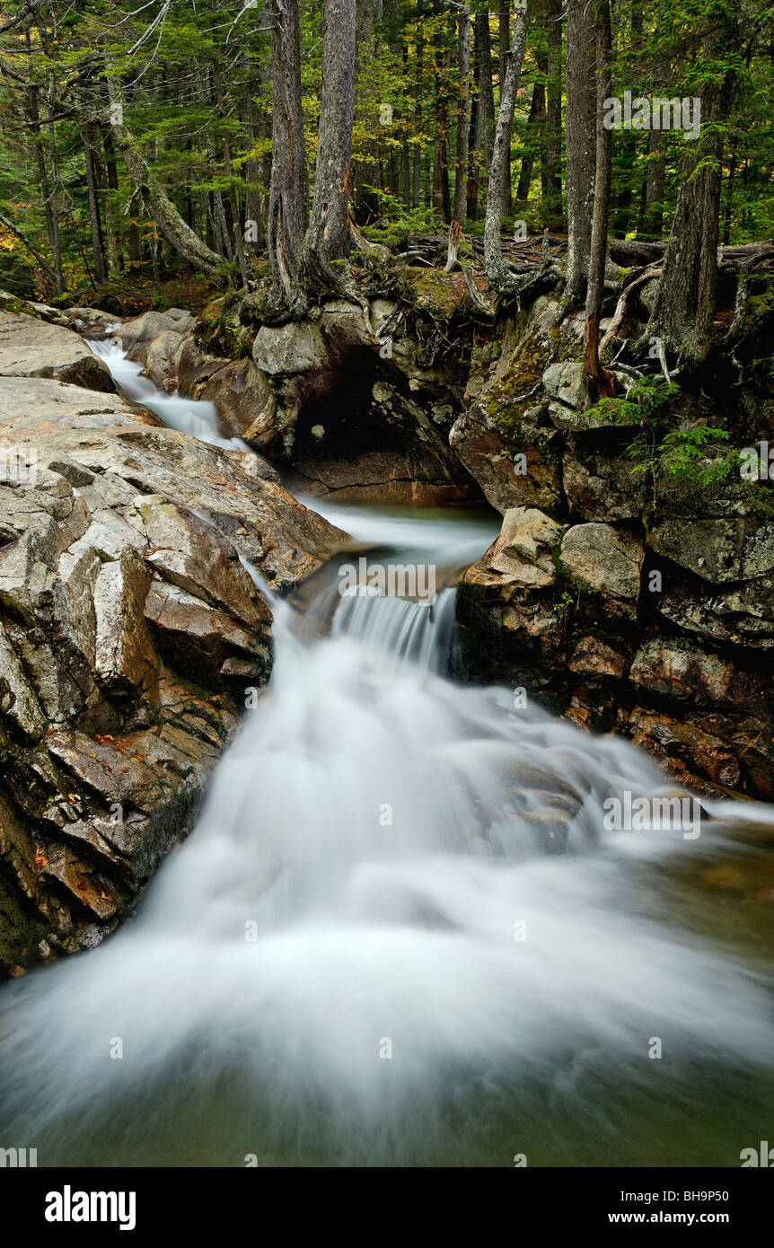 Cascade on the Pemigiwasset River in the Basin Area of Franconia Notch State Park of New Hampshire Stock Photo