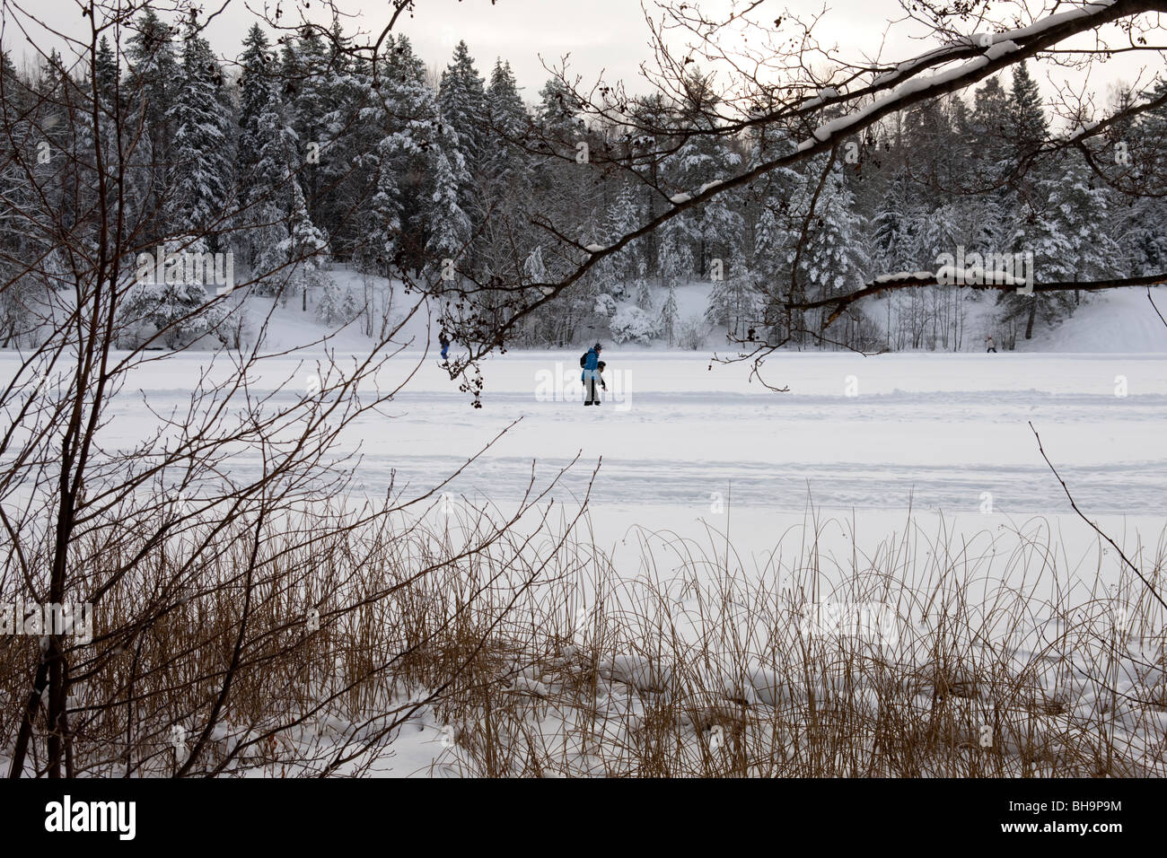 Kottlasjön, Lidingö (Sweden) Stock Photo