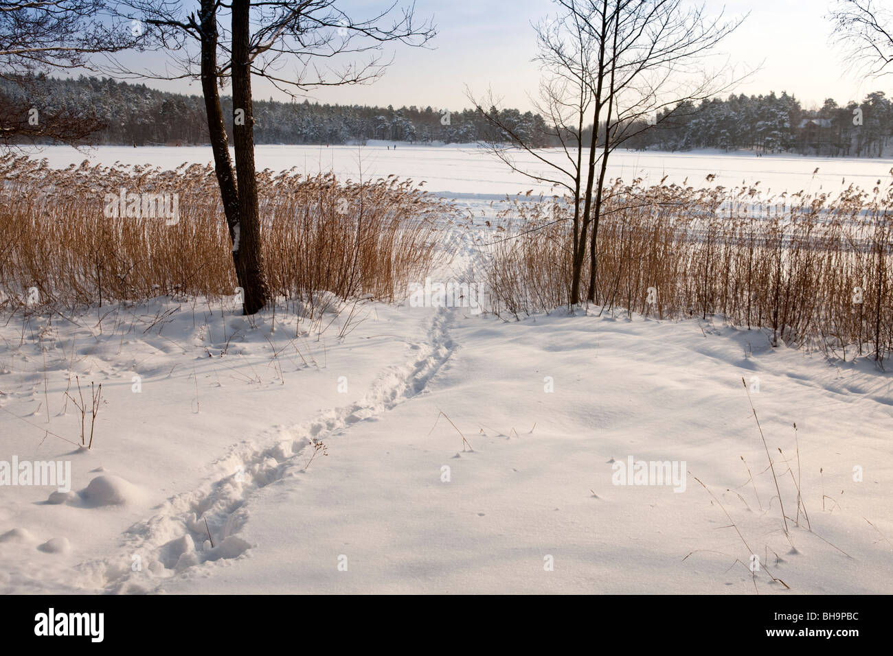 Kottlasjön, Kottla lake, Lidingö (Sweden) Stock Photo