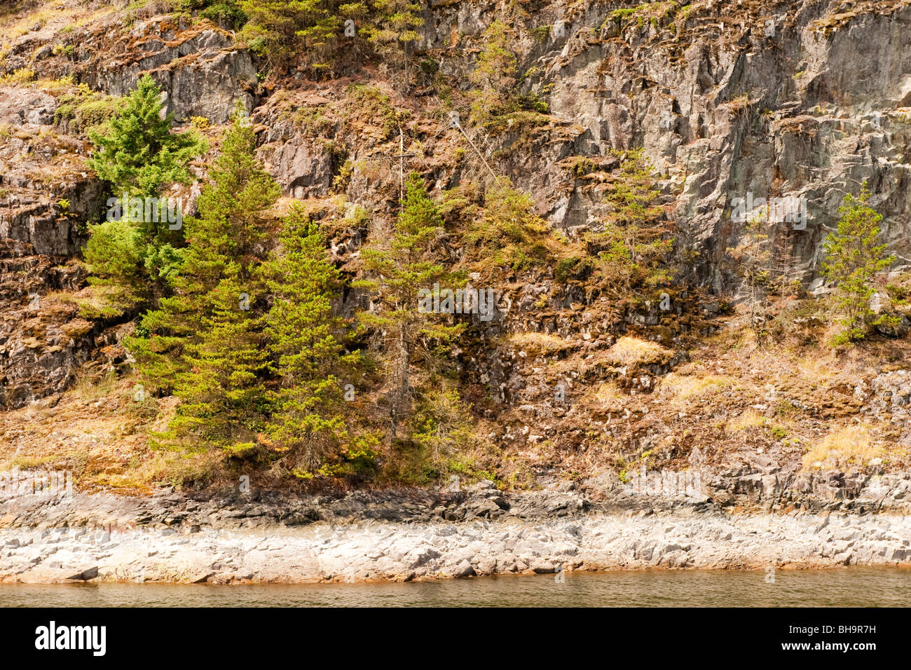 Shoreline of Indian Arm, near Deep Cove, North Vancouver, BC, Canada Stock Photo