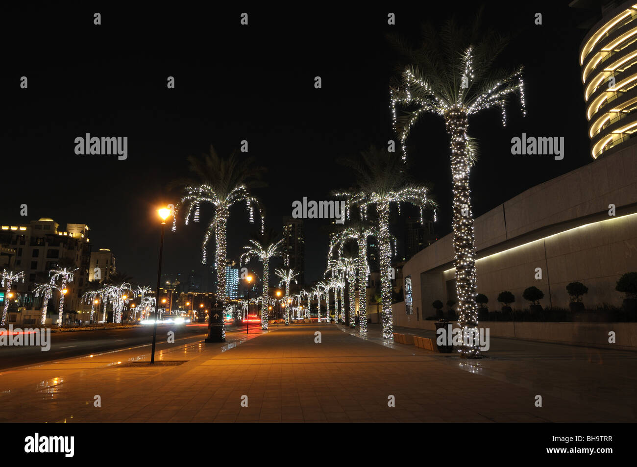 Illuminated Palm Trees in the street of Dubai, United Arab Emirates Stock Photo