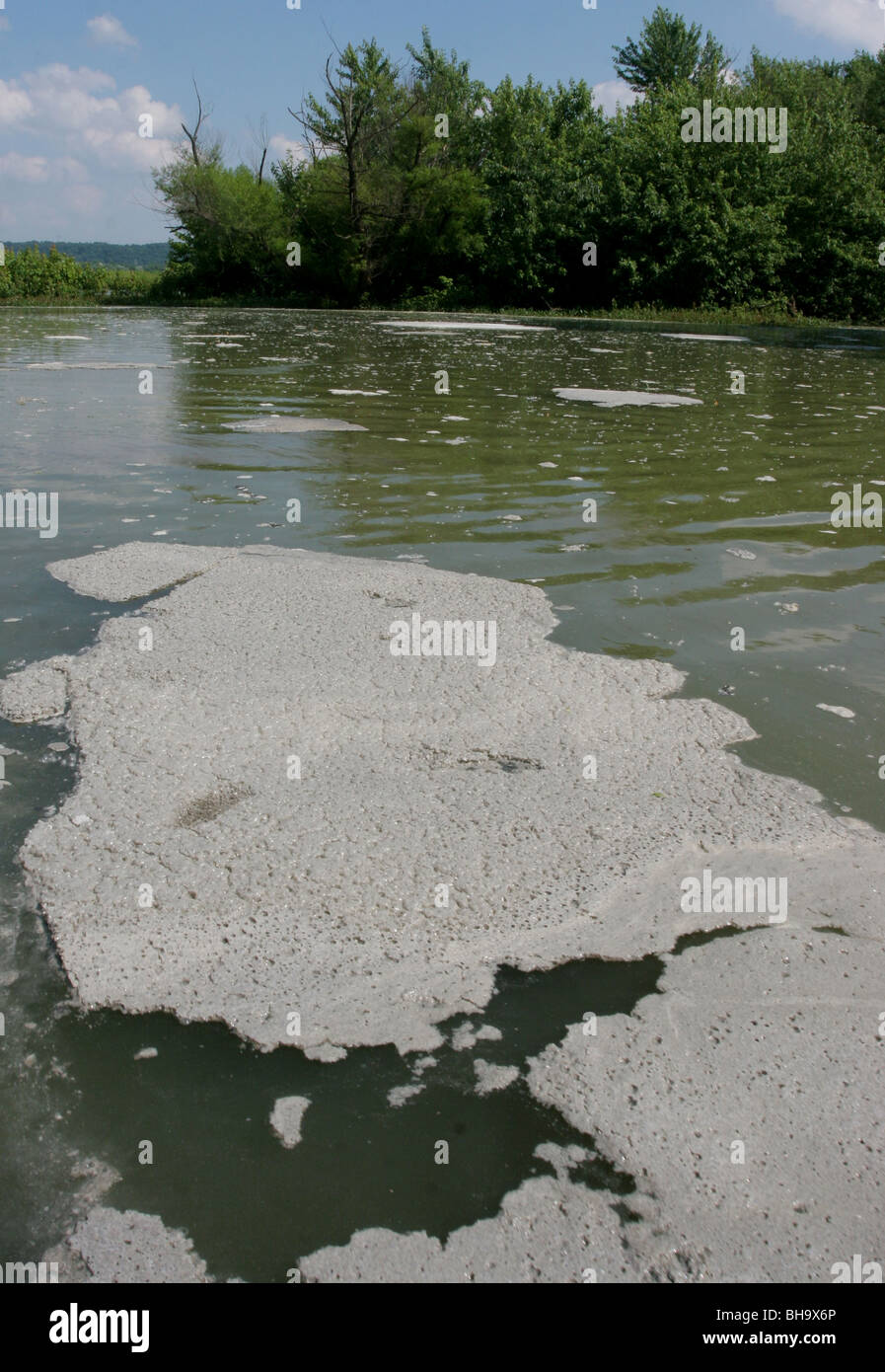 water pollution Stock Photo