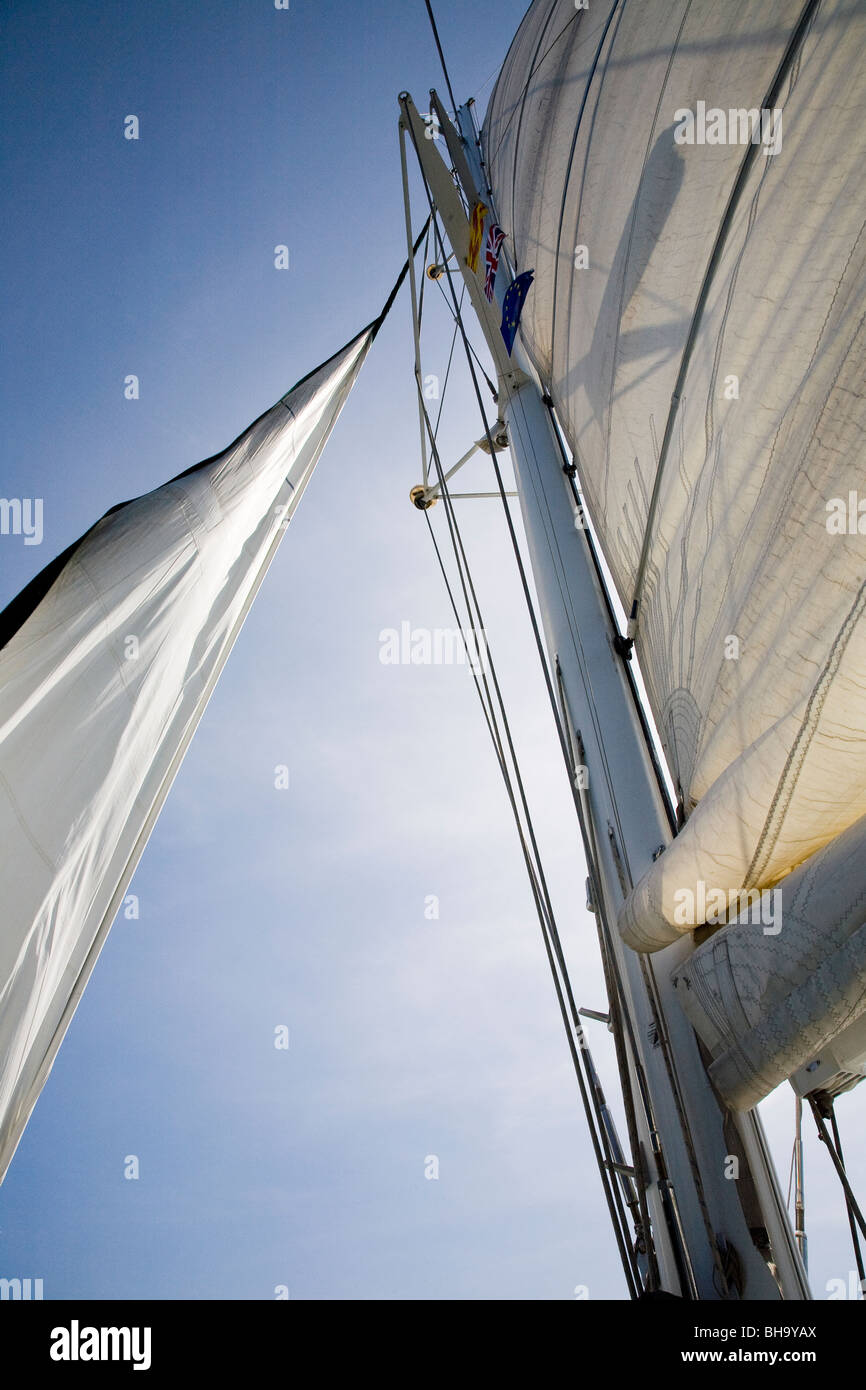 View of large Catamaran sails and mast with sunshine Stock Photo - Alamy