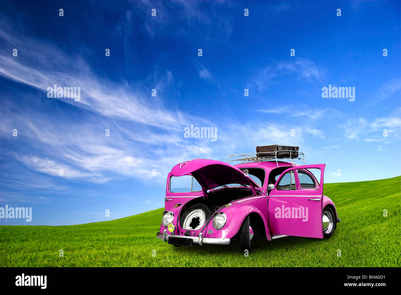 beautiful beetle car with door's open on a green meadow Stock Photo