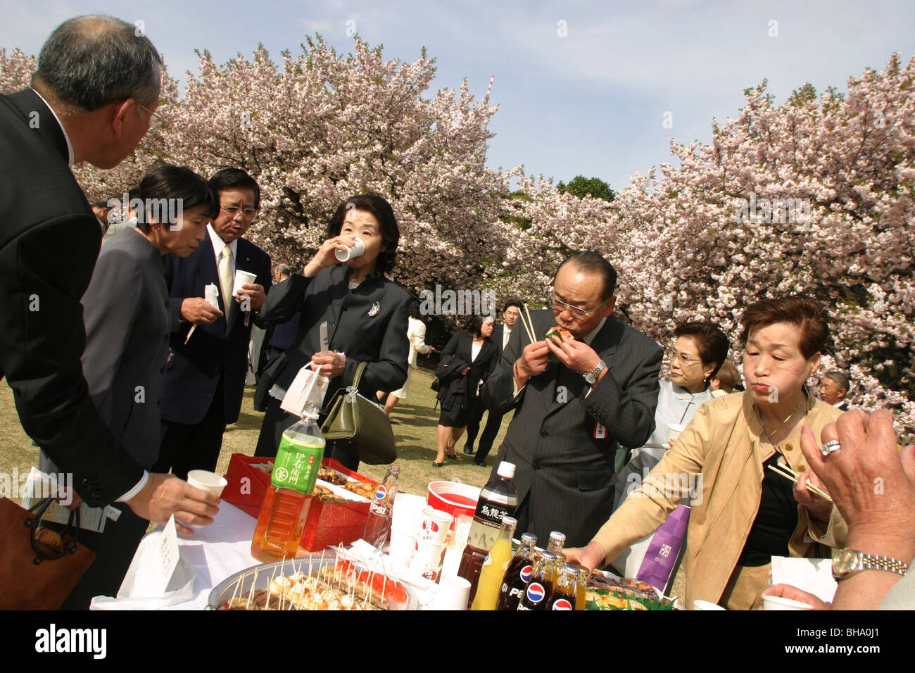 Guests at the 'Sakura Hanami' (cherry blossom flower viewing) garden party hosted by Prime Minister Junichiro Koizumi, Tokyo Stock Photo