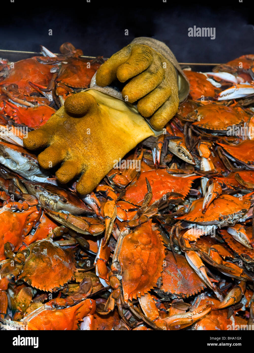 Steamed blue crabs on display at the wharf a waterfront seafood stand on Maine Avenue in Washington DC. Stock Photo