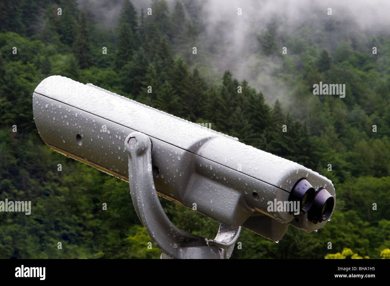Binoculars in the Tongass Rain Forest near Juneau Alaska. Stock Photo