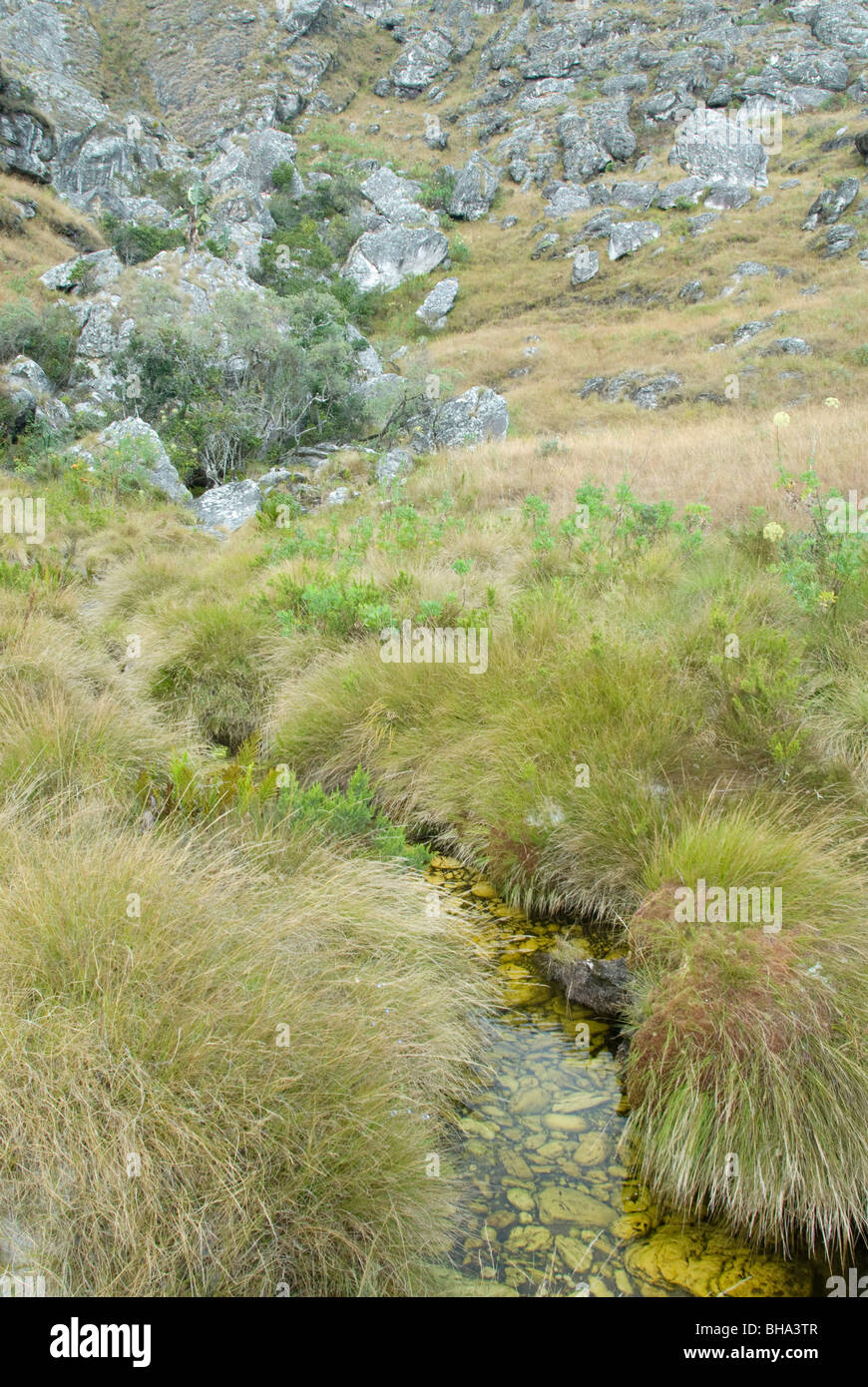 Chimanimani national park mozambique hi-res stock photography and ...