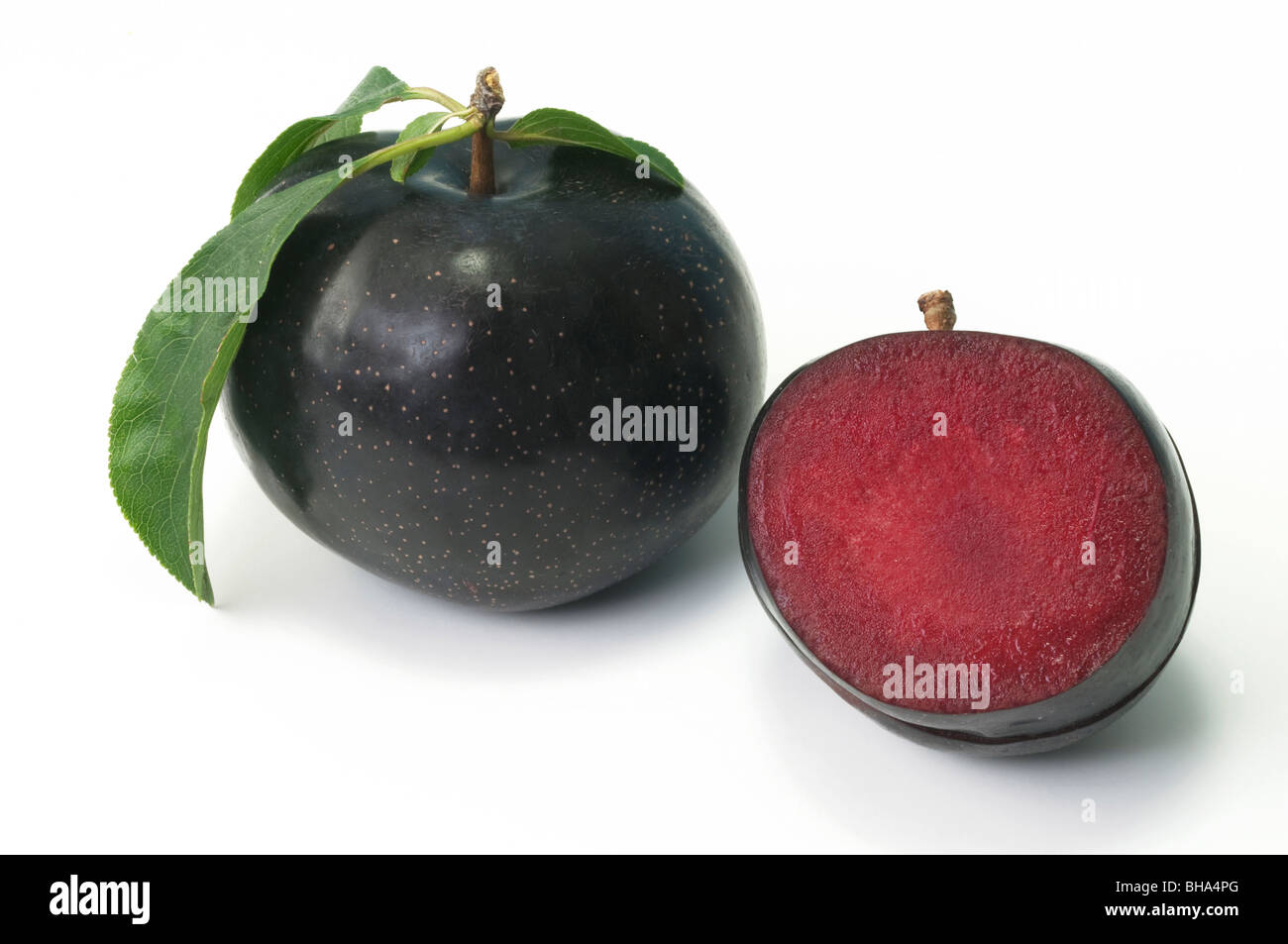 Chinese Plum, Japanese Plum (Prunus salicina), variety: Angeleno, whole and halved fruit, studio picture. Stock Photo