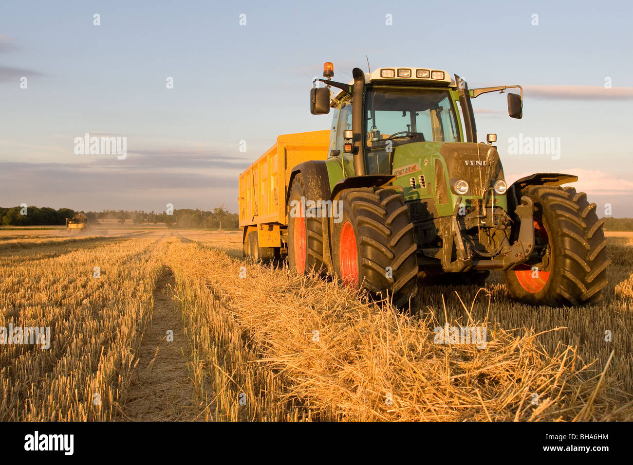 Combine Harvesting Wheat Stock Photo Alamy
