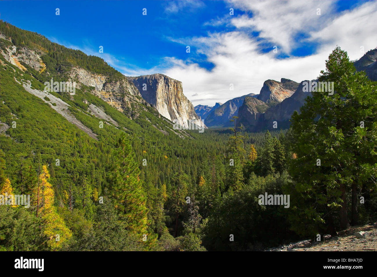The well-known reserve Yosemite -park in the USA Stock Photo