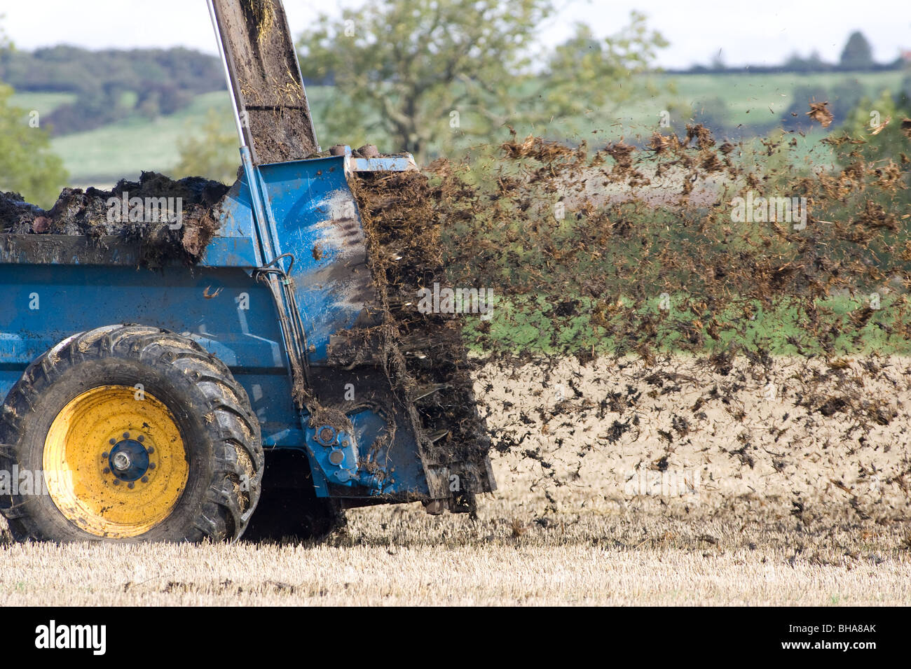 Farm yard manure being spread on stubble land Stock Photo Alamy