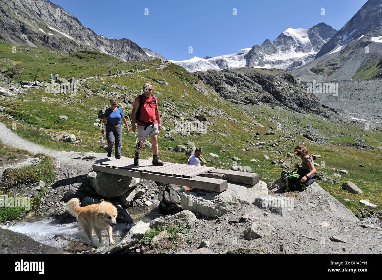 Tourists / Walkers walking with dog along mountain path in the Pennine Alps / Walliser Alpen, Valais / Wallis, Switzerland Stock Photo