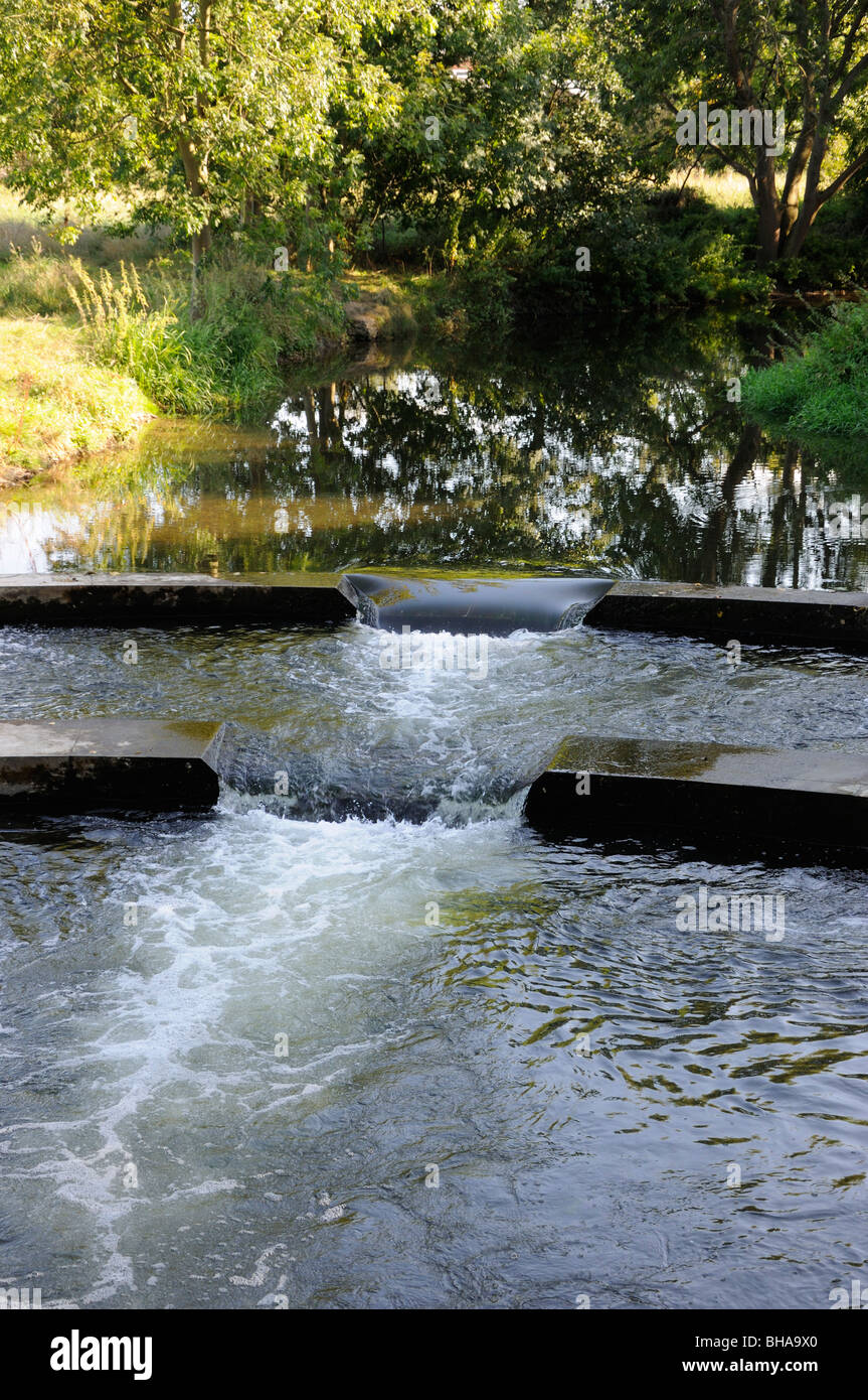Two step weir on the river Lea featured in the BBC 'Rivers' with Griff Rhys Jones, Hartham Common, Hertford, England, UK. Stock Photo
