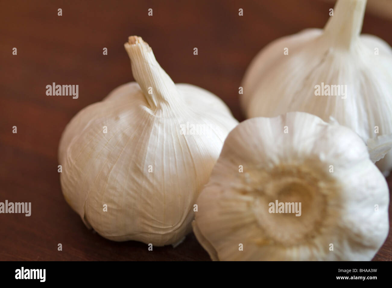 Whole garlic bulb Stock Photo