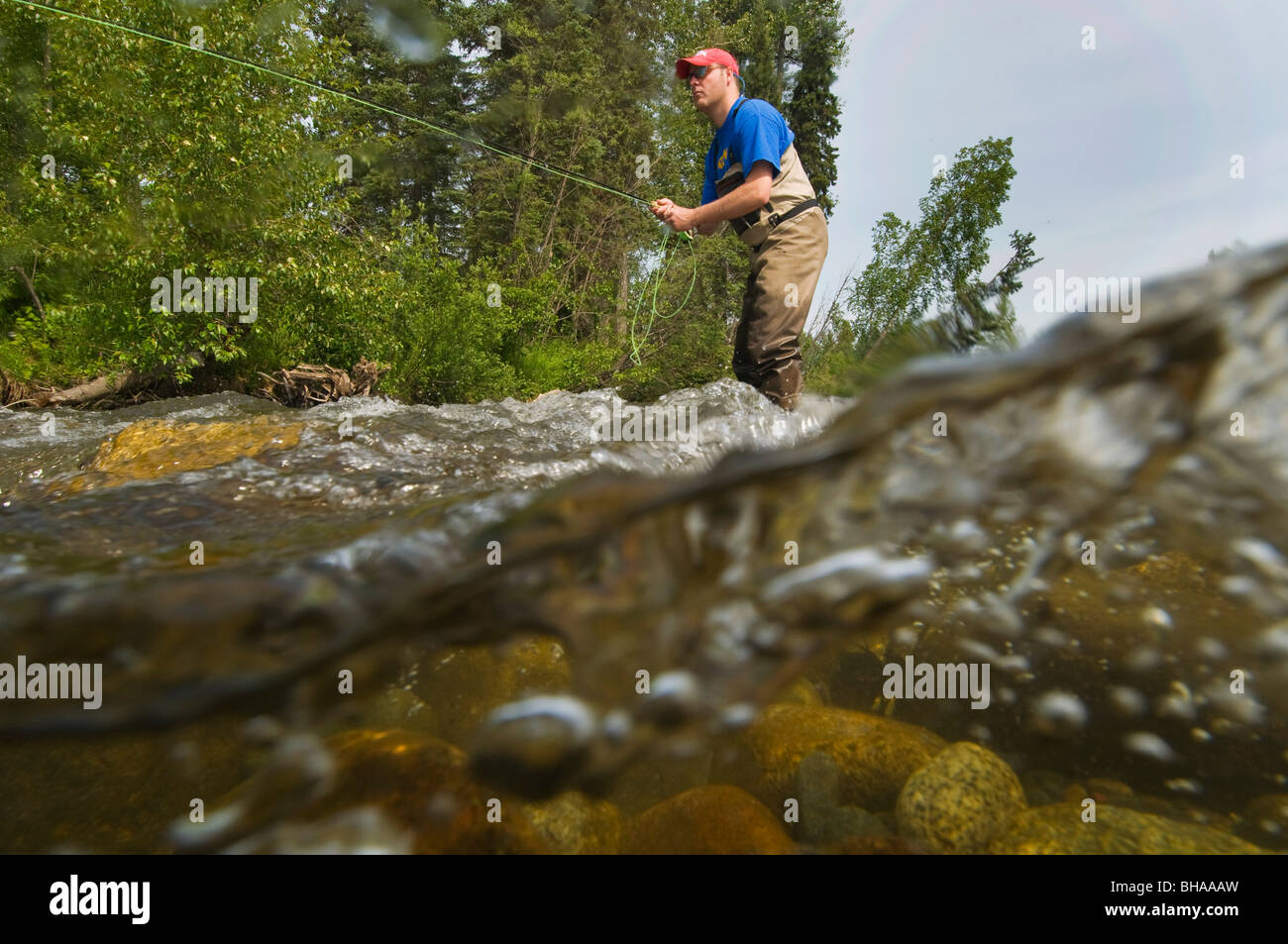 Underwater perspective of a fly fisherman fishing for rainbow trout in  Montana Creek, Southcentral, Alaska Stock Photo - Alamy