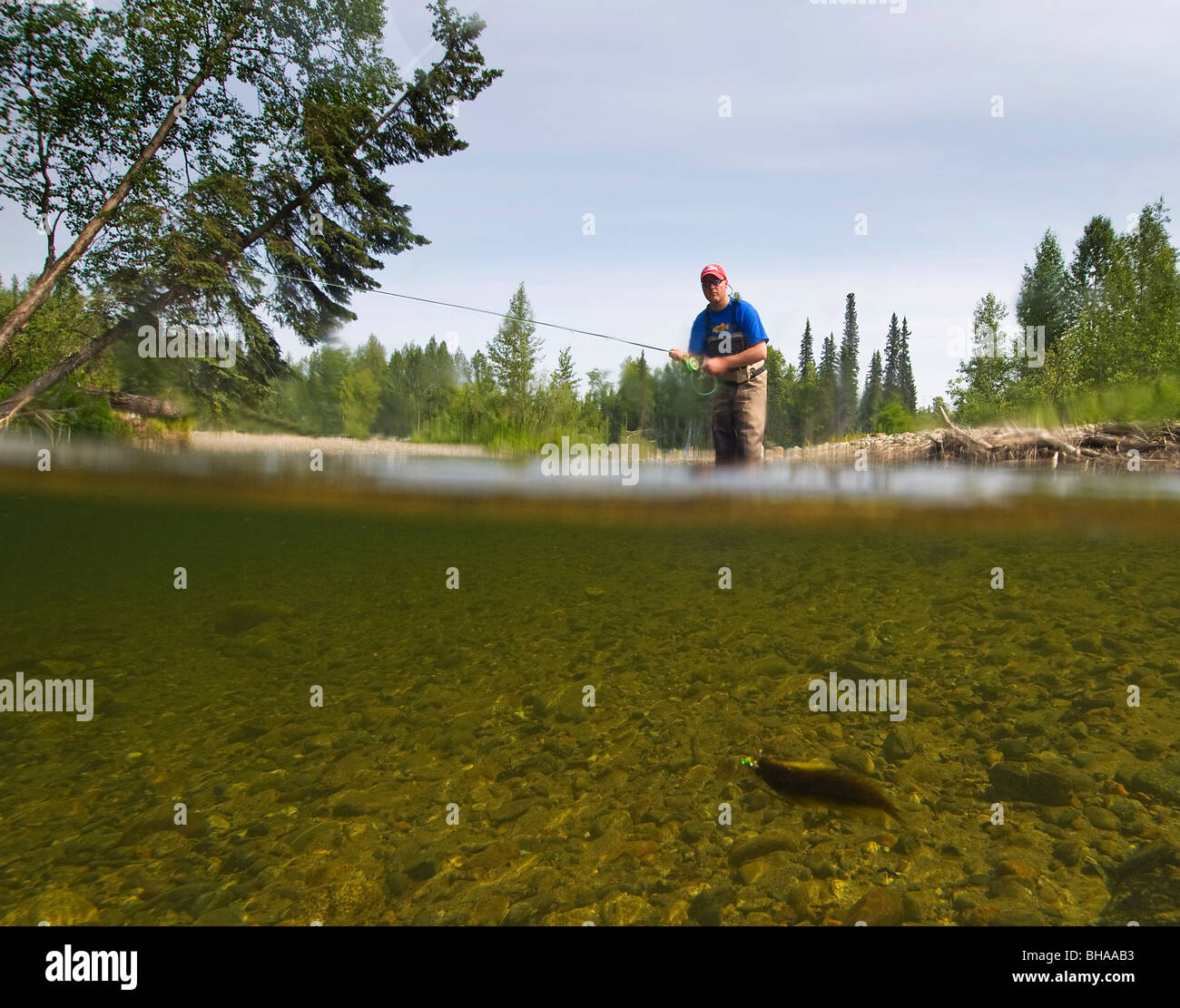 Underwater perspective of a fly fisherman fishing for rainbow trout in