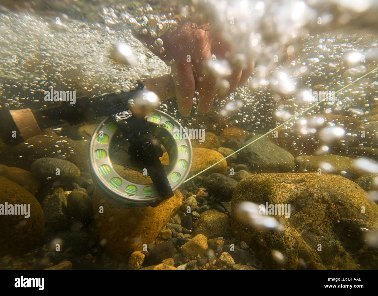 Underwater view of a fly rod and reel in the fast moving water of