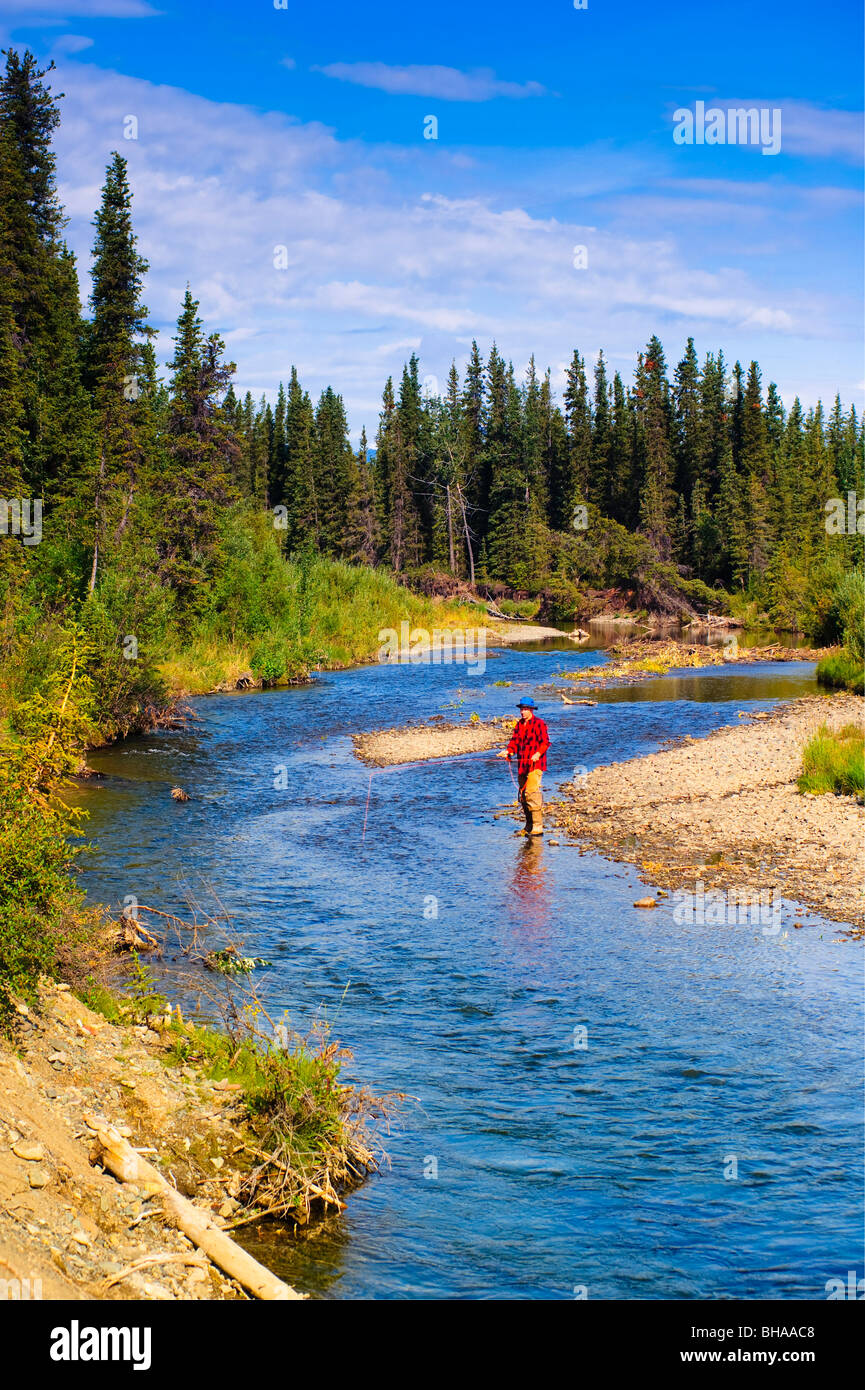 Man fly fishing for grayling, Jack Creek, Wrangell Saint Elias National Park, Southcentral Alaska, summer Stock Photo