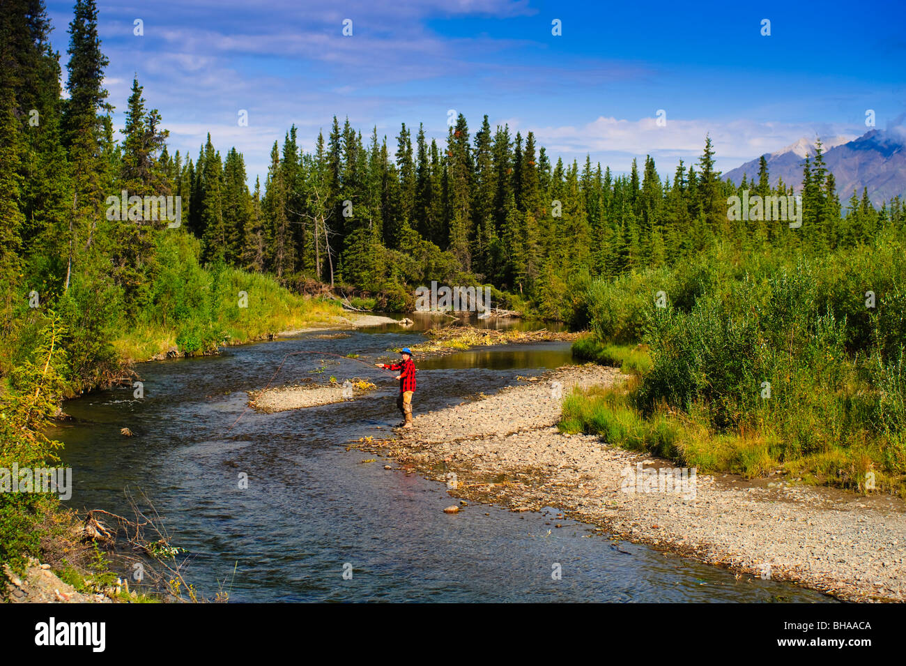 Man fly fishing for grayling, Jack Creek, Wrangell Saint Elias National Park, Southcentral Alaska, summer Stock Photo