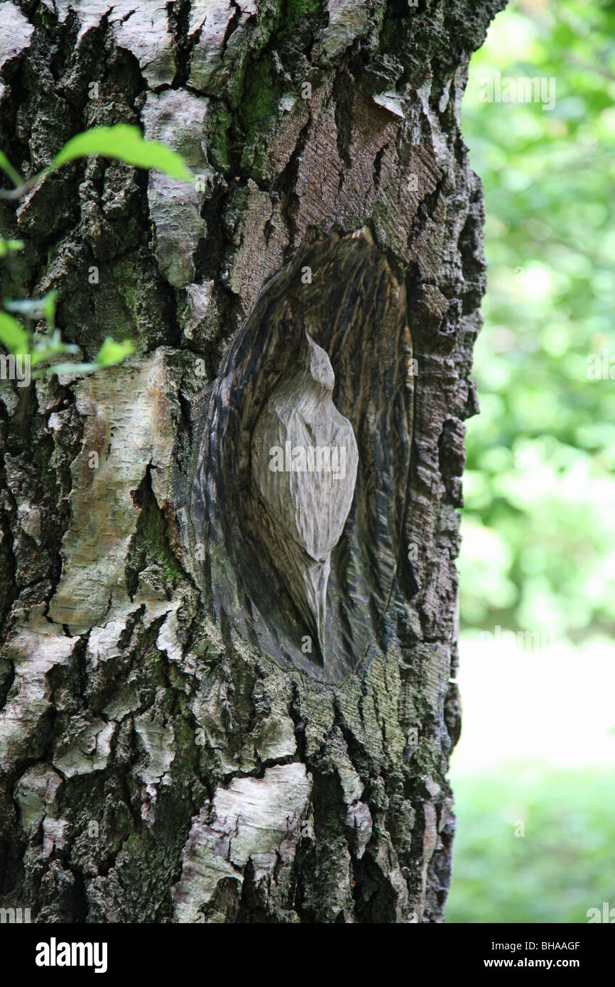 A carving of a bird in the tree trunk at Jodrell Bank arboretum Cheshire, England, UK Stock Photo